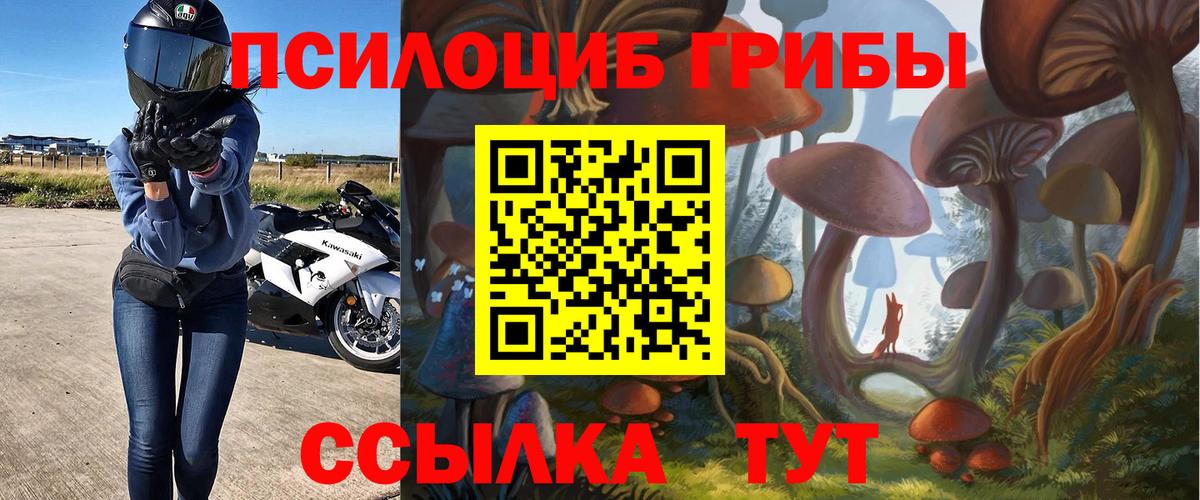 где продают   Галлюциногенные грибы ЛСД  Галлюциногенные грибы прущие грибы  Вход с VPN  Благодарный 